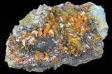Wulfenite Crystal Cluster - Rowley Mine, AZ #76906-1